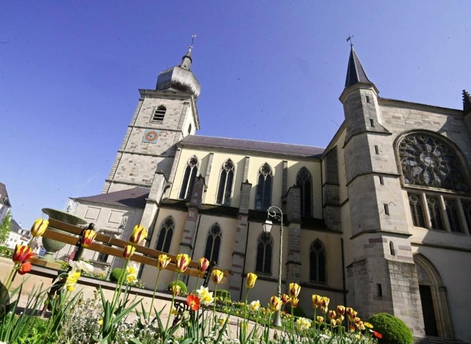 Gite Spa "La Foret Argentee" Proche Gerardmer Laveline-du-Houx Kültér fotó