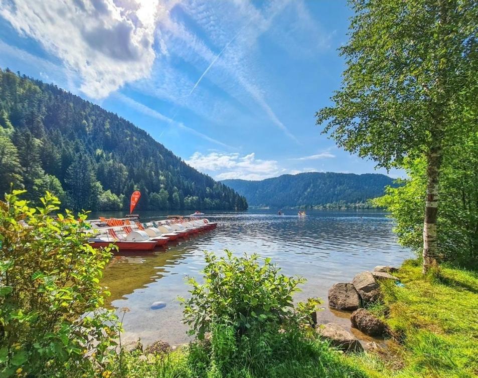 Gite Spa "La Foret Argentee" Proche Gerardmer Laveline-du-Houx Kültér fotó